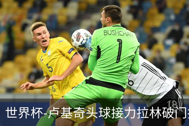 世界杯-卢基奇头球接力拉林破门扳平 加拿大1-1波黑
