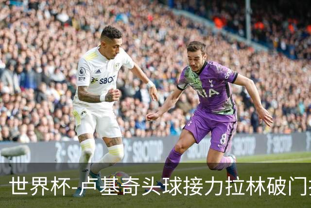 世界杯-卢基奇头球接力拉林破门扳平 加拿大1-1波黑